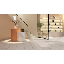 CAVANITE - 12X24, WHITE, MATTE